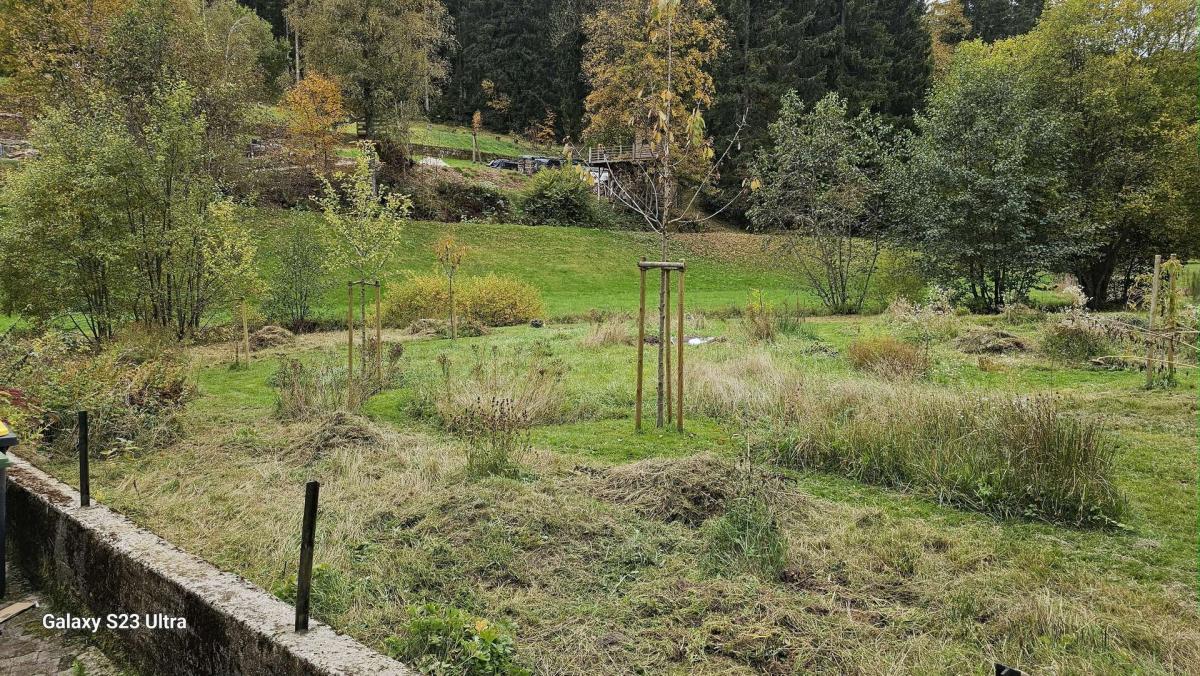 38 Ausblick vom Garten